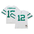 Philadelphia Eagles Randall Cunningham White Legacy Replica Football Jersey