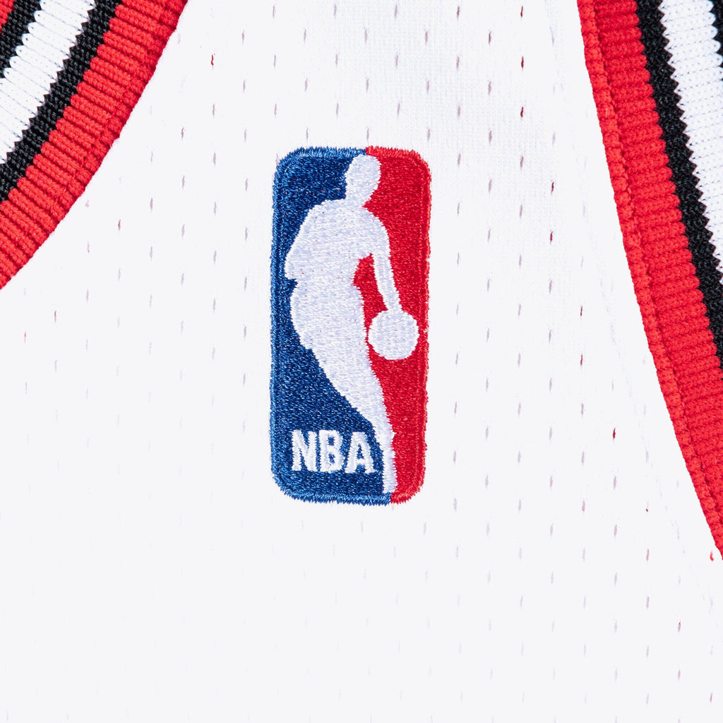 Chicago Bulls Jersey Michael Jordan 1995-96 - Style 203157016
