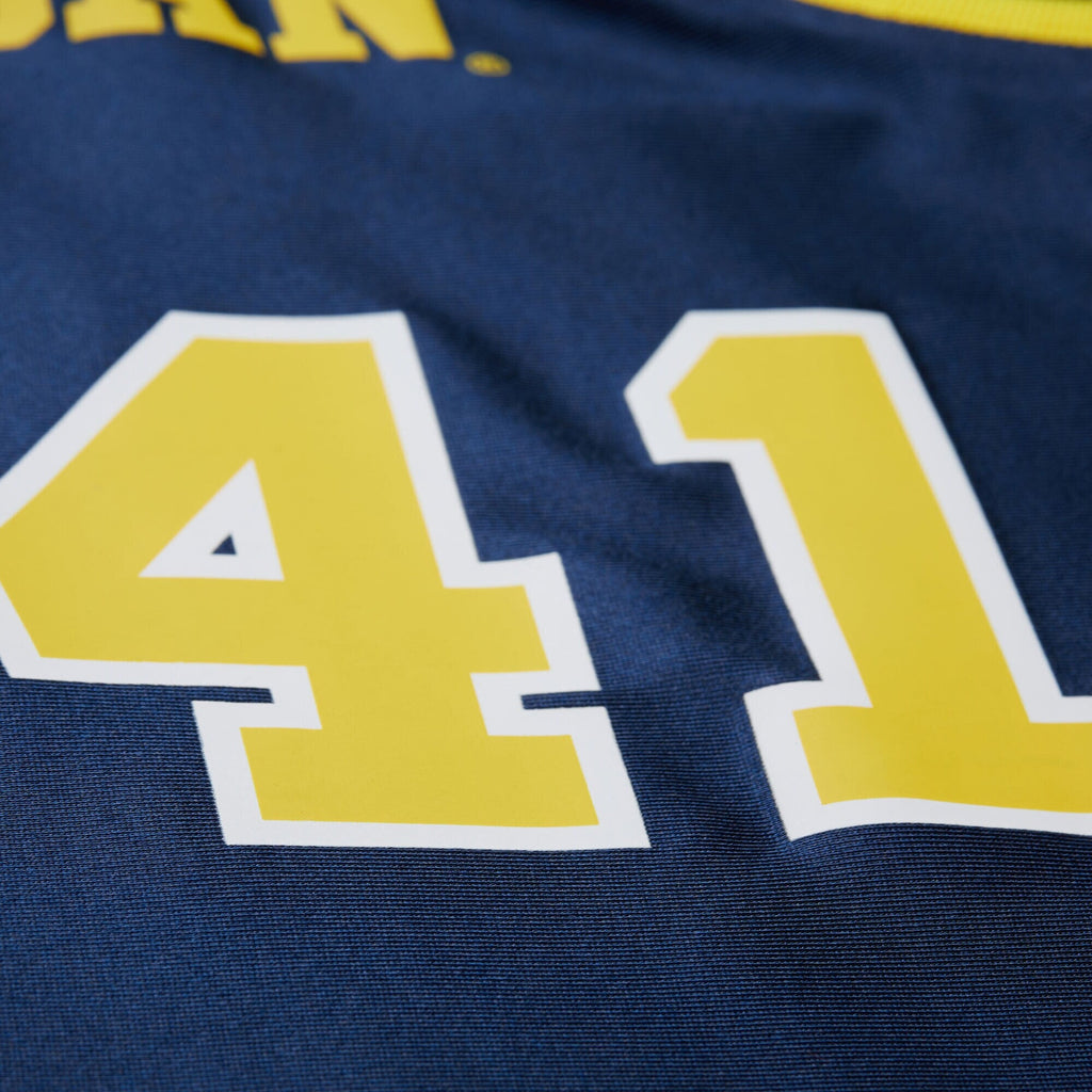 Glen Rice Navy Michigan Wolverines 1988/89 Jersey