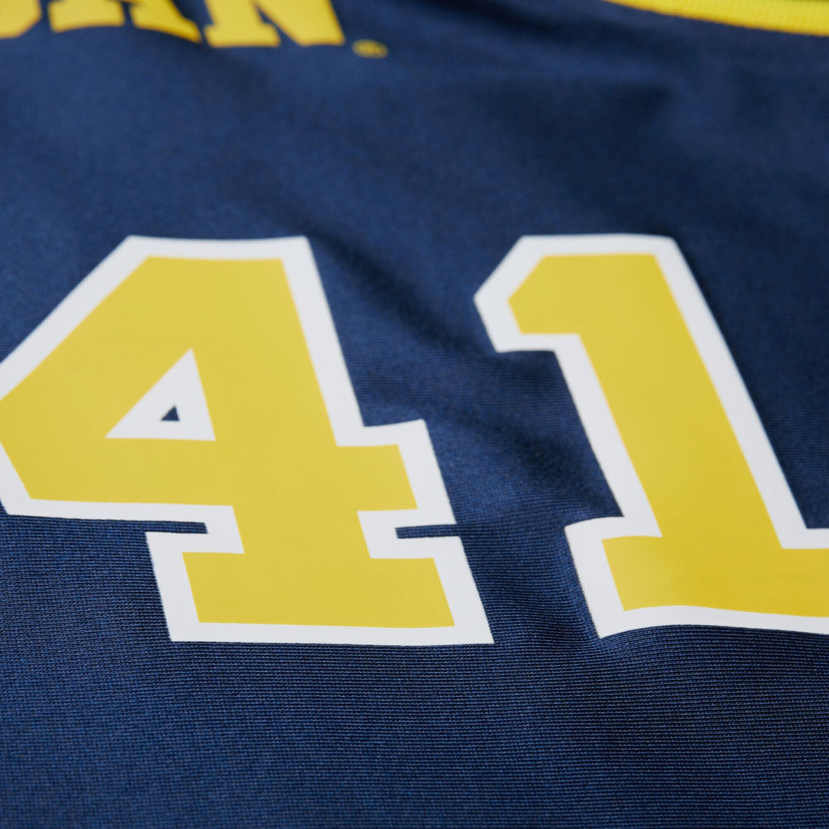 Glen Rice Navy Michigan Wolverines 1988/89 Jersey