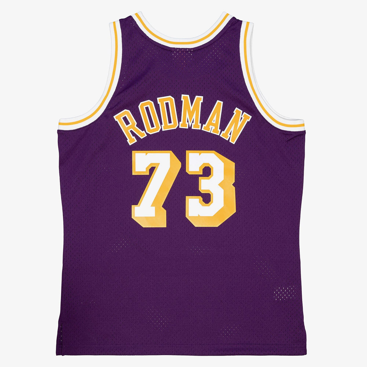 Los Angeles Lakers Dennis Rodman 1998 Road Jersey - Purple