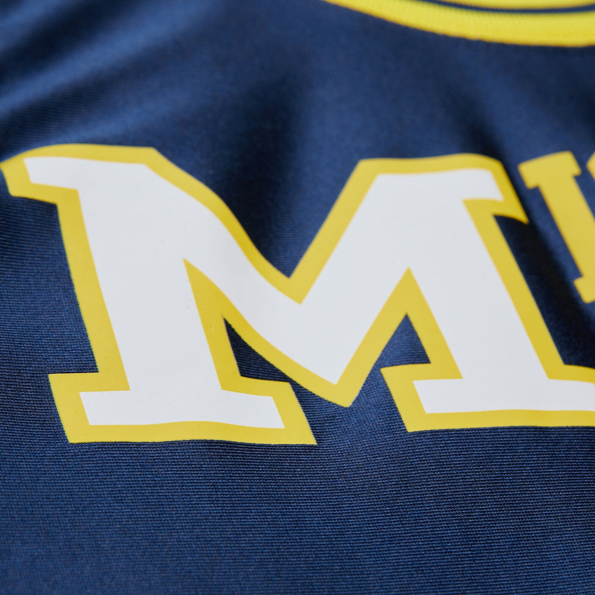 Glen Rice Navy Michigan Wolverines 1988/89 Jersey