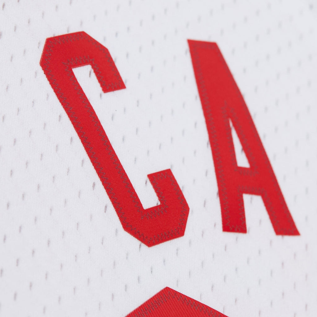 New Jersey Nets Swingman Jersey - Vince Carter