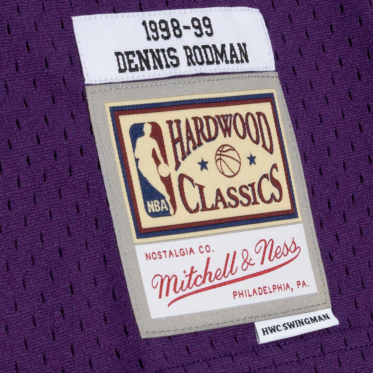 Los Angeles Lakers Dennis Rodman 1998 Road Jersey - Purple