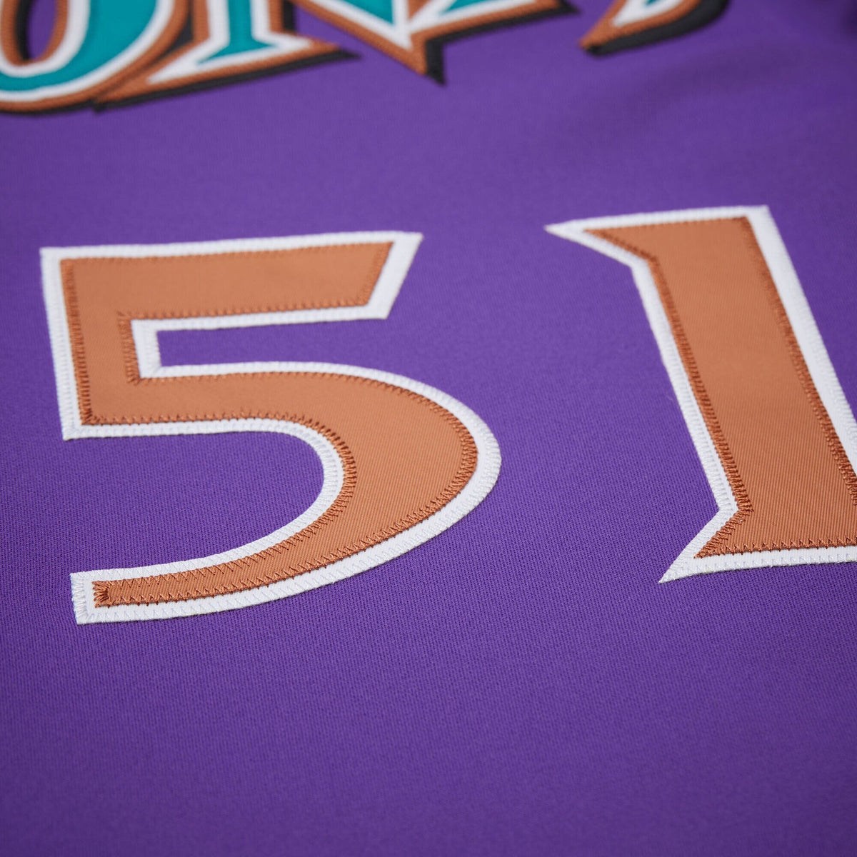 Arizona Diamondbacks Randy Johnson Purple 2000 Throwback Baseball Jersey