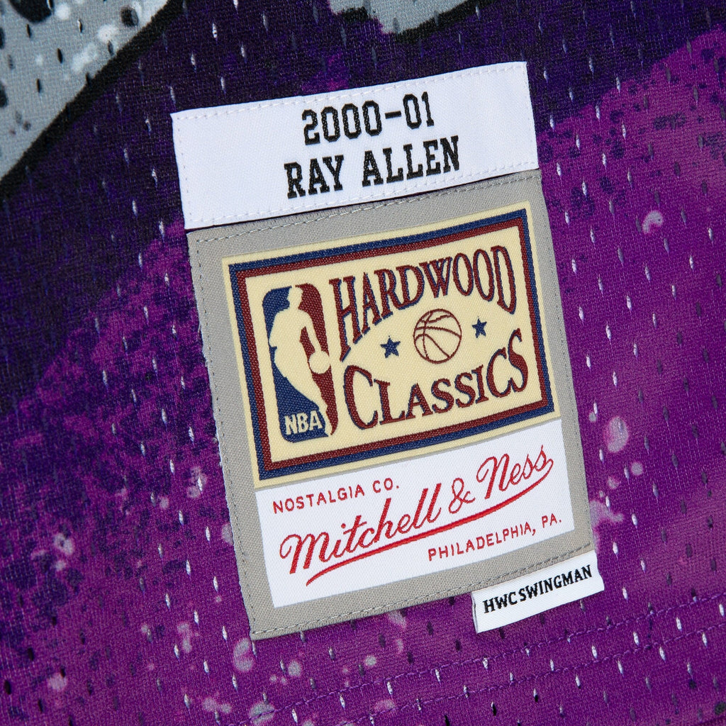 Milwaukee Bucks Ray Allen 2000 Hyper Hoops Swingman Jersey - Purple