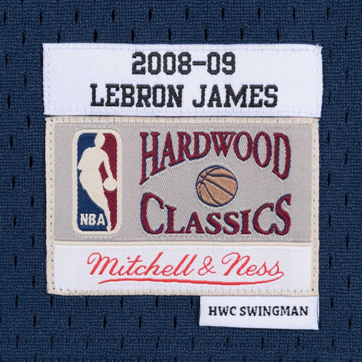 LeBron James Navy Cleveland Cavaliers 2008-09 Hardwood Classics Swingman Jersey