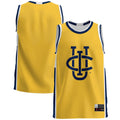 Blue UC Irvine Anteaters Lightweight Basketball Jersey