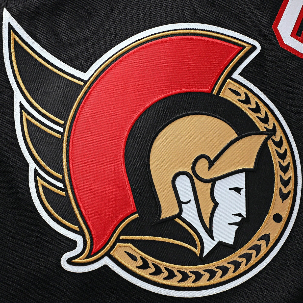 Ottawa Senators Black Home Premium Custom Jersey