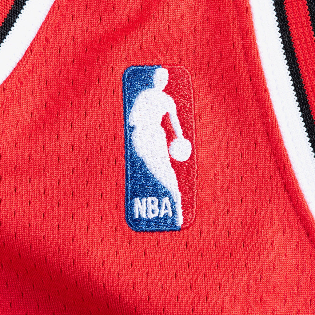 Chicago Bulls Jersey Road Finals Michael Jordan 1995-96