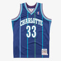 Charlotte Hornets Jersey Alternate Alonzo Mourning 1994-95