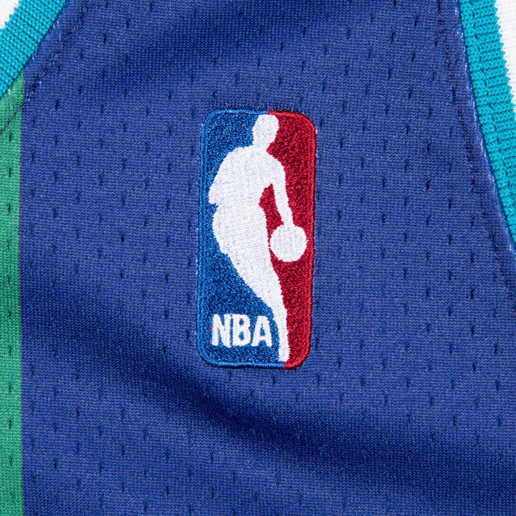 Charlotte Hornets Jersey Alternate Alonzo Mourning 1994-95