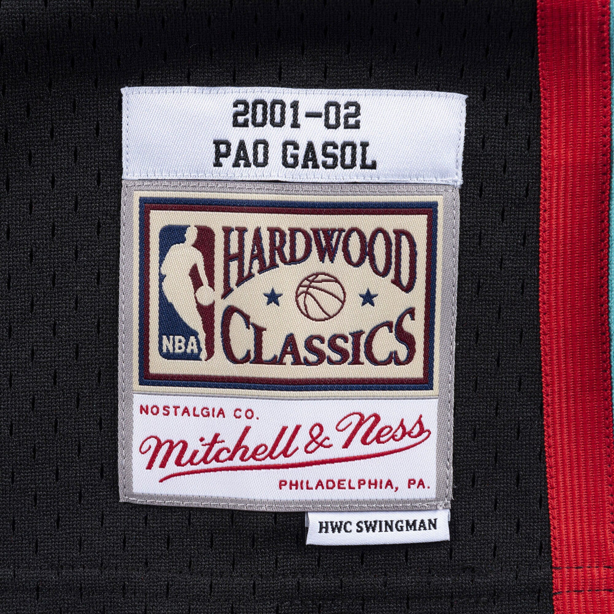 Memphis Grizzlies Swingman Jersey Pau Gasol 2001-02