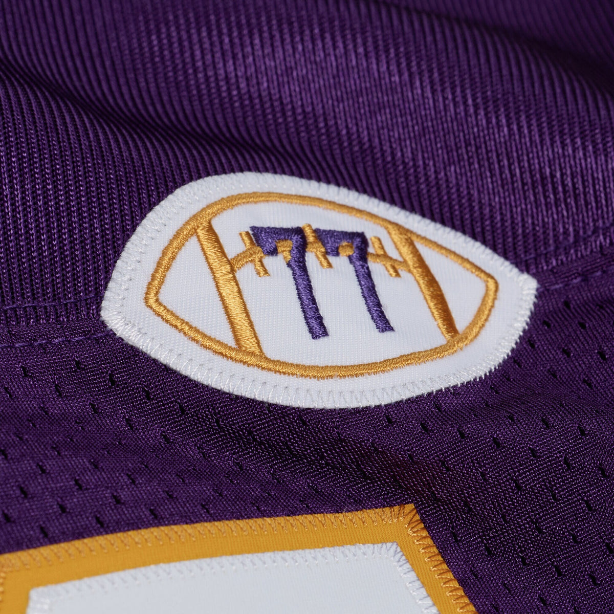 Minnesota Vikings Randy Moss Purple 2001 Throwback Football Jersey