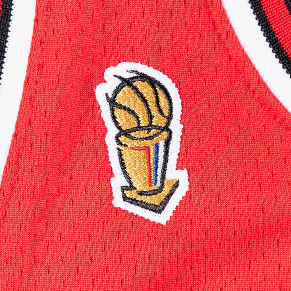 Chicago Bulls Jersey Road Finals Michael Jordan 1995-96