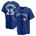 Toronto Blue Jays Anthony Santander Royal Alternate Replica Baseball Jersey