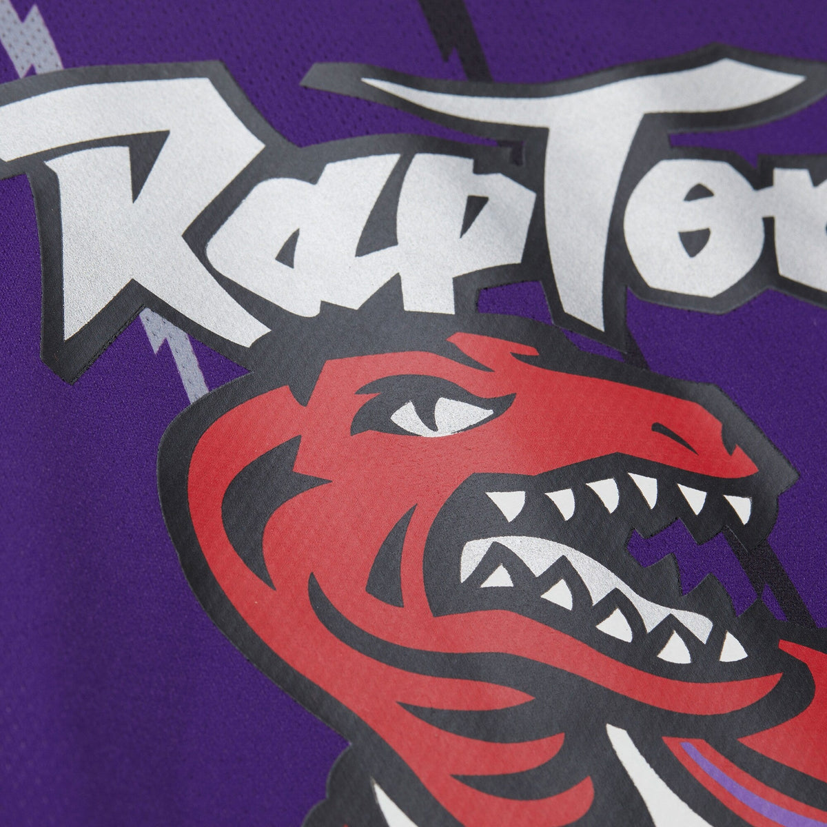 Vince Carter Purple Toronto Raptors Maxxed Out Fashion Hockey Jersey