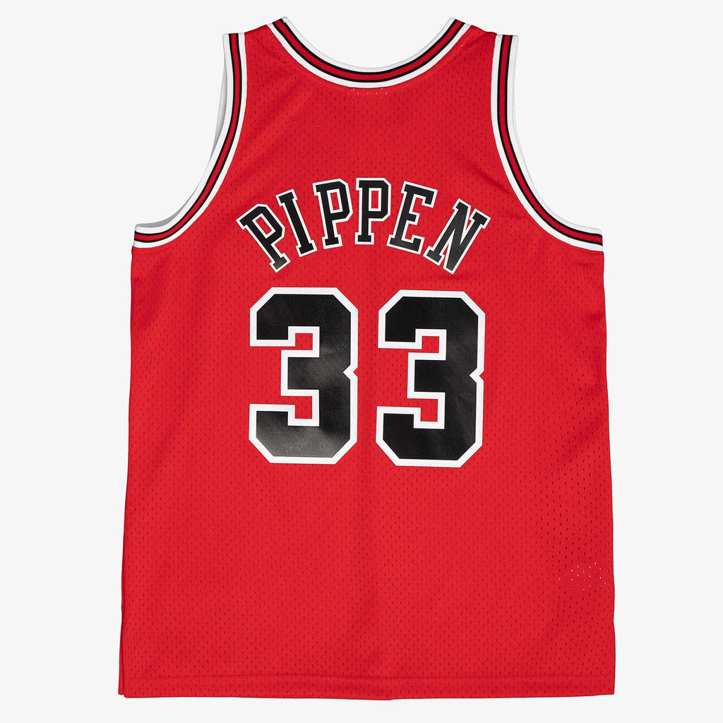 Chicago Bulls Alternate Jersey