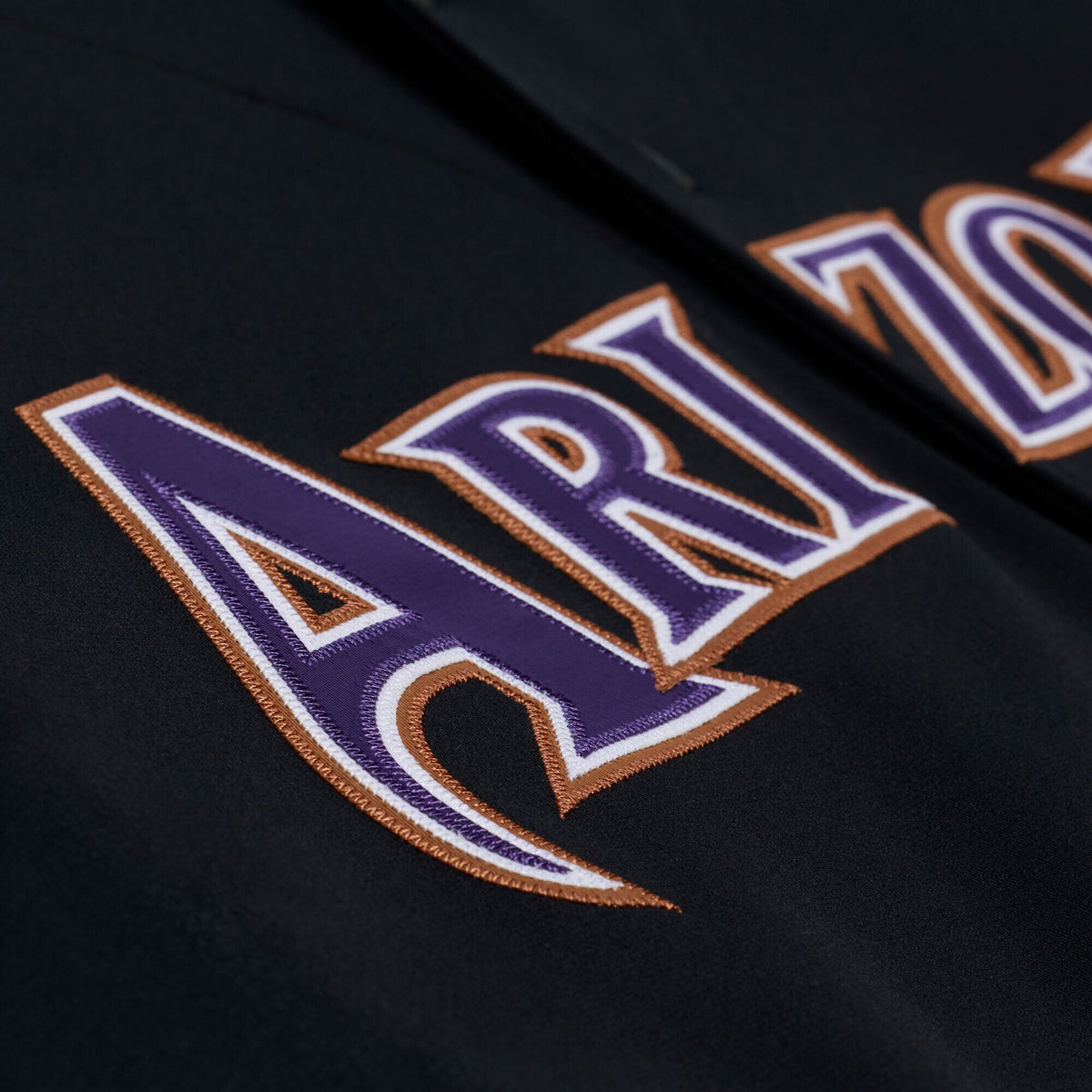 Arizona Diamondbacks Randy Johnson Black 2001 Baseball Jersey